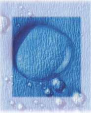 Crosstex Sterilization CSR Wraps 12x12 -100
